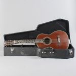 696054 Akustisk gitarr